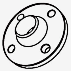 Stainless Steel Forged Flange
